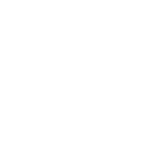 روح المبادرة